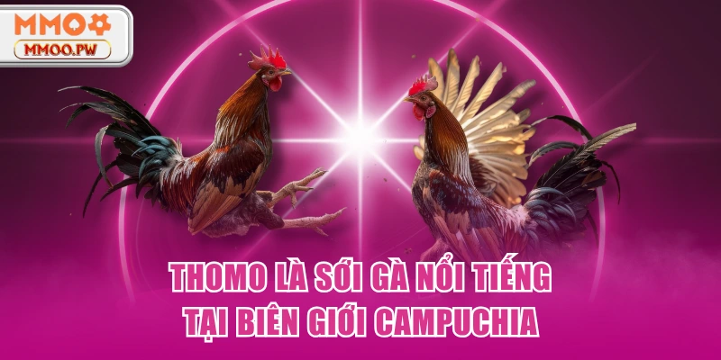 Thomo là sới gà nổi tiếng tại biên giới Campuchia Thomo là sới gà nổi tiếng tại biên giới Campuchia